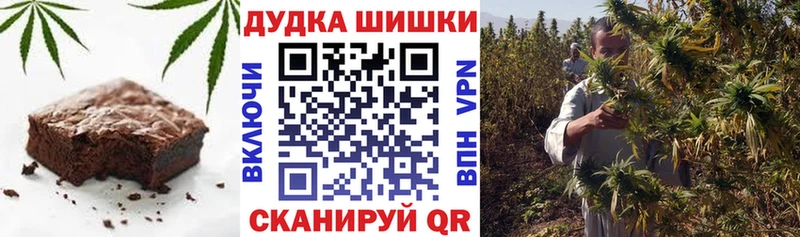 мориарти телеграм  Медвежьегорск  Еда ТГК марихуана 