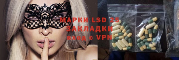 ПСИЛОЦИБИНОВЫЕ ГРИБЫ Лихославль