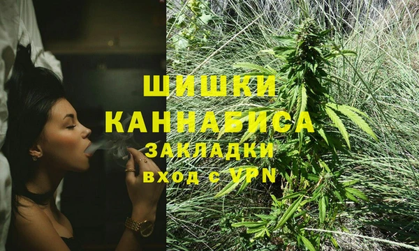 молекула духа Лабытнанги