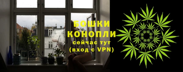 не бодяженный Тайга