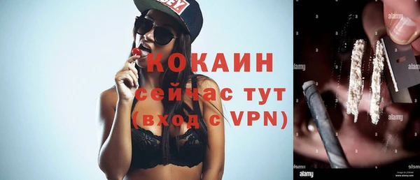 винт Ладушкин