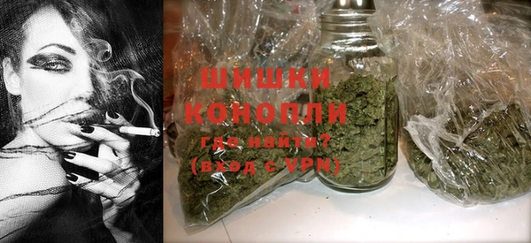 молекула духа Лабытнанги