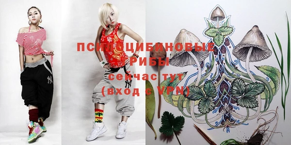 метадон Семикаракорск
