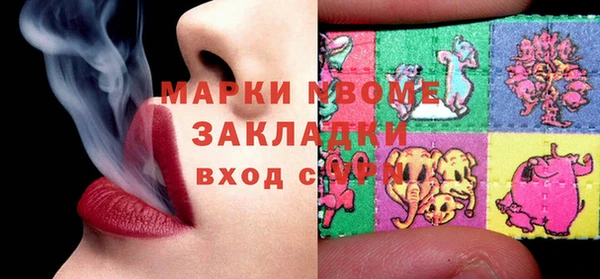 молекула духа Лабытнанги