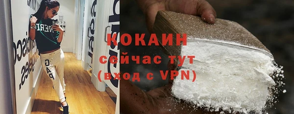 молекула духа Лабытнанги