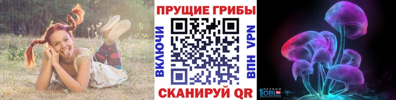 Галлюциногенные грибы мицелий  hydra ССЫЛКА  Медвежьегорск 